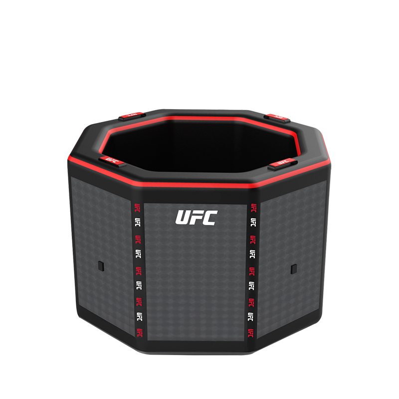Jarvi UFC 2
